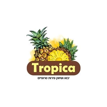 עיצוב לוגו יבואן פירות טרופיים